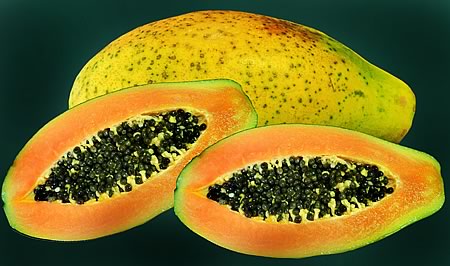 Das Enzym Papain wird aus der Schale und den Kernen der Papaya gewonnen